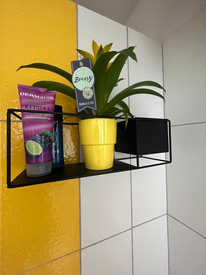 Monstera I Appartement Kolín Buitenkant foto