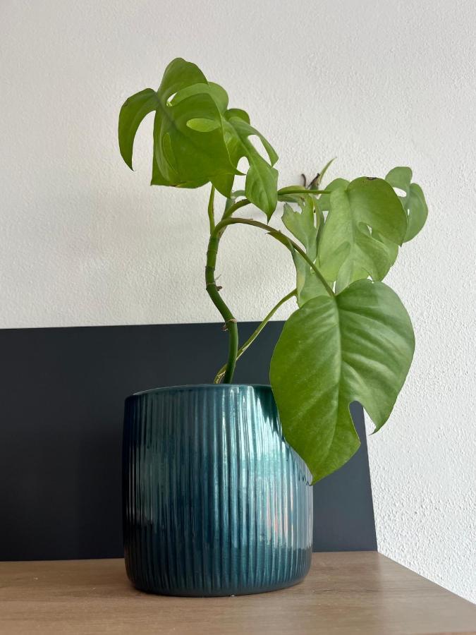 Monstera I Appartement Kolín Buitenkant foto